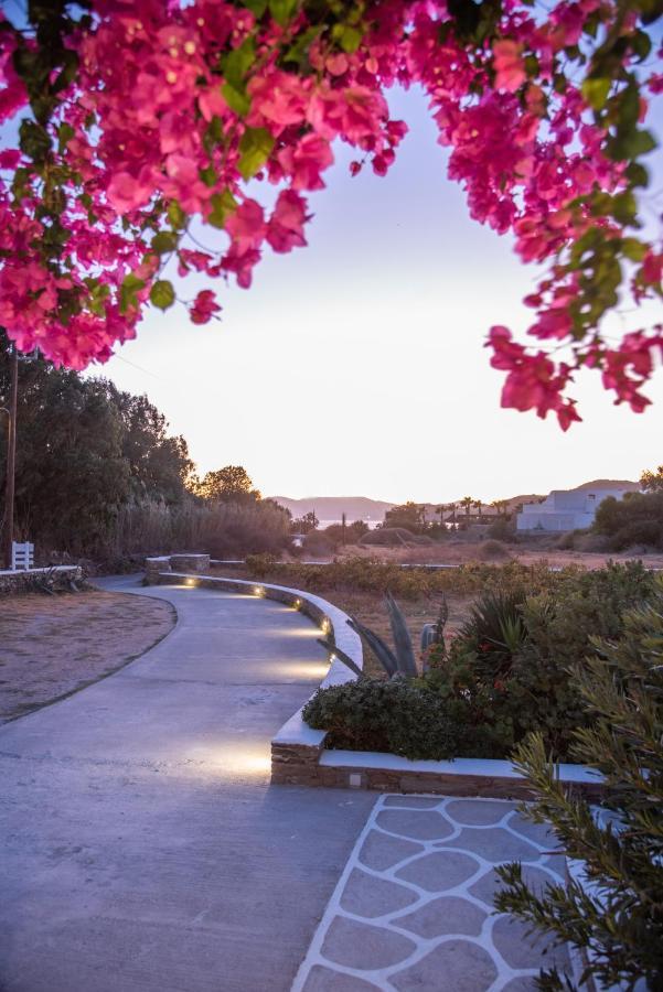 Island House Mare Appartement Mylopotas Buitenkant foto